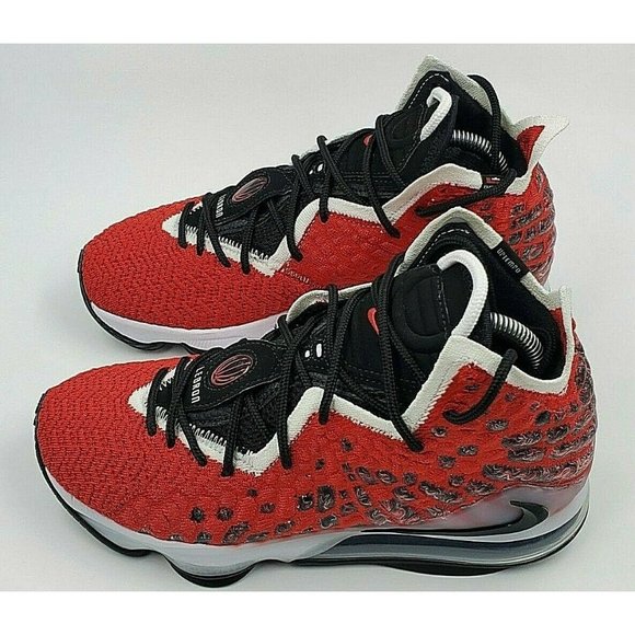 Nike Lebron 17 \